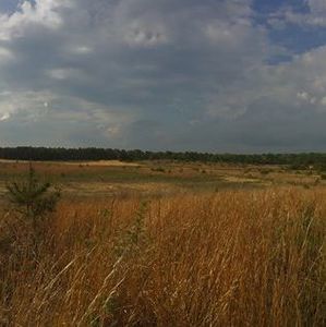 Meet your Posher, Marco